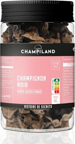 CHAMPILAND - Champignon Noir Séché - Champignons Sélectionnés - Triés à la Main dans le Sud-Ouest de la France - Saveur Exceptionnelle - Riche en Protéines et Source de Fibres - Pot de 40 g