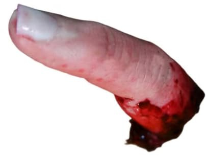 Tumintu Doigt cassé pour Halloween, Doigt Brisé Artificiel Horreur d'Halloween, Faux Doigt Effrayant