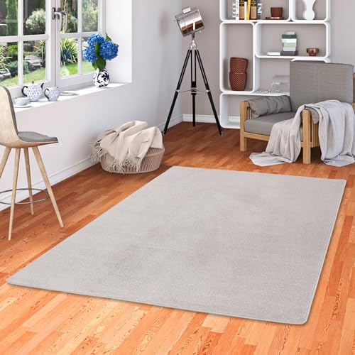Snapstyle Trend Velours Teppich Joy Hellgrau in 24 Größen