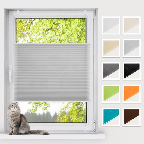 BelleMax Plissee ohne Bohren Klemmfix, Hellgrau 90x110cm(BxH), Easyfix lichtdurchlässig Sichtschutz und Sonnenschutz, Jalousie Plisseerollo mit Klemmträger, Faltrollo für Fenster & Tür