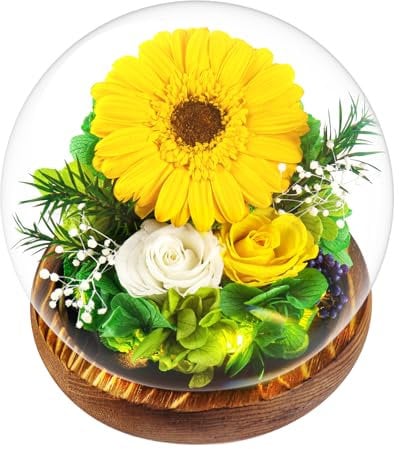 Touloube Regali di Girasole di la Festa Della Mamma Regalo Donna, Fiore Stabilizzata Vera in Cupola di Vetro, Regali di Girasole Eterni, Scatola Regalo, Avanzate Regalo per la Regina Della Casa