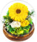 Touloube Regali di Girasole di la Festa Della Mamma Regalo Donna, Fiore Stabilizzata Vera in Cupola di Vetro, Regali di Girasole Eterni, Scatola Regalo, Avanzate Regalo per la Regina Della Casa