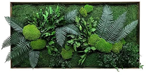 clorophilla. Quadro Vegetale Senza Cornice con Piante Stabilizzate Vere, No Manutenzione e Polvere, Idea Regalo, Profuma e Decora (150x75)