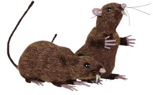 PARTY DISCOUNT NEU Halloween-Set Ratten mit Fell, braun, 1 sitzend und 1 stehend - Set mit 2 Stück