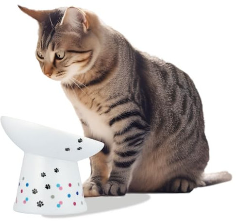 Necoichi Extra Wide Raised Cat Food Bowl, Elevated, Prevent Neck & Whisker Fatigue, Dishwasher and Microwave Safe, No.1 Seller in Japan! (Colorful Dots Limited Edition, Extra Wide Tilted)