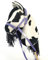 Hobby Horse A5 Small (Pferd am Stock) + Halfter mit Zügeln von Horse&Toys (Schwarz und weiß)