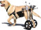 Hundewagen, Rollstuhl, verstellbarer Haustier-Kinderwagen mit Rädern für Hinterbeine, abnehmbarer Haustierwagen, Beinstütze und Hüftstütze, tragbarer Hundebuggy (XL)