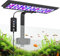 AQQA LED Aquarium Light 18W, 24/7 Mode Clip-on Fish Tank Light, DIY Mode Full Spectrum Aquarium Plant Lights, Adjustable Timer/Brightness with Memory Function, IP68 Waterproof for 45-60cm Fish Tank