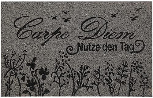 Bestlivings Fußmatte Kokos Schuhabtreter 40x60cm in grau (Carpe Diem Bunt), Fußabtreter Schmutzfangmatte Türmatte Bodenmatte Läufer Teppich Türvorleger Abtreter