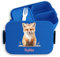 Bento Box Midi Lunchbox Mepal Bentobox - Fuchs - Niedliche Fuchs-Brotdose für Kinder | Auslaufsicher und langlebig | Perfekt für Snacks und Pausenbrot | Fuchs-Lunchbox - 900 ml - Blau - brotdose