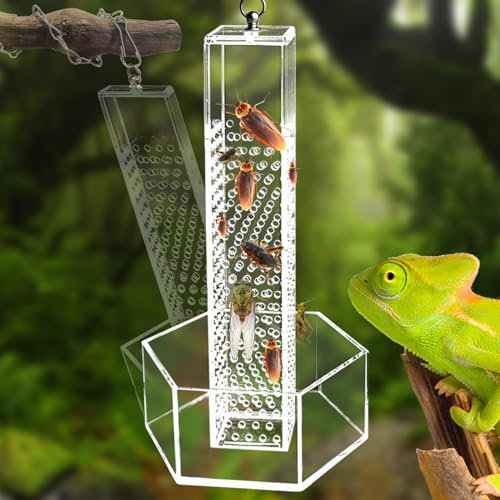 Chamäleon-Futternapf, hängend, transparent, Acryl, Bartagamen-Futterspender, Haken-Futterspender für Eidechsen, zum Klettern, geeignet für Eidechse, Leguan, Gecko, Bartagame