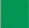 Vibrant Emerald Green Luncheon Napkins (16cm) 20 Count - Premium Disposable Napkins for Parties and Events