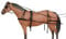 Tough 1 Deluxe Nylon Fahrgeschirr Pony Schwarz