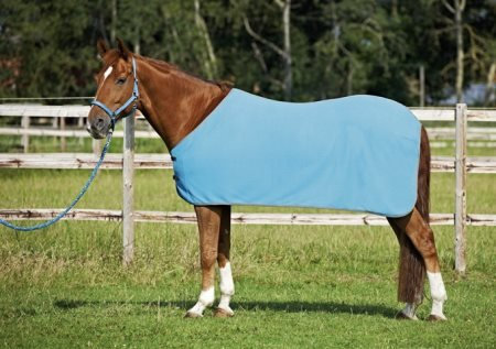 BUSSE Abschwitzdecke SEASON