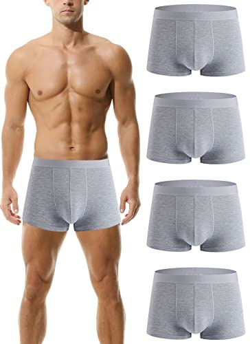 Hoerev Pack of 4 Mens Super Soft And Comfortable Fiber Trunks Underwear