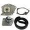 SKF Wasserpumpe + Zahnriemensatz