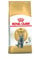 Royal Canin Feline British Shorthair, 1er Pack (1 x 10 kg Beutel) - Katzenfutter