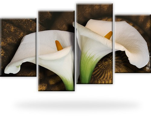 Wandbilder Calla Blume Leinwandbild 4-Teilig: 100x60 cm Mehrfarbig