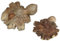 Wogeka Vogelspinne aus Parasitenholz Dekoration Parasit01