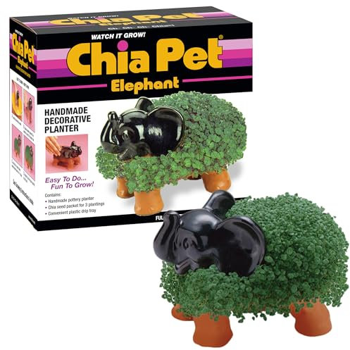 Chia Elefante Mascota con Paquete de Semillas, Maceta Decorativa de cerámica, fácil de Hacer y Divertida de Cultivar, Regalo novedoso, Cualquier ocasión