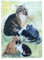 Spielkarten für Katzen