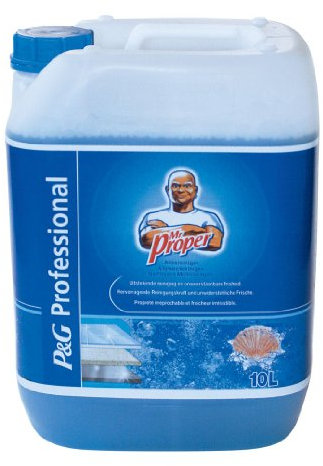 Meister Proper PROFESSIONAL Allzweckreiniger Meeresfrische