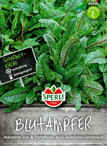 Blutampfer SPERLI´s Essbare Staude