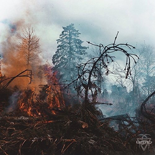 Prosthetic Records