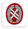 Aufkleber/Sticker Barettabzeichen PSV OpInfo Streitkräftebasis Heer 7x7cm A2467