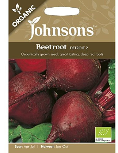 Beetroot Detroit 2 Organic