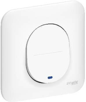 SCHNEIDER - Bouton poussoir lumineux à LED - Ovalis - S266276