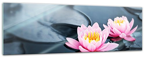 Bilderdepot24 Glasbild - Lotusblüte - 120x40 cm - Deko Glas - Wandbild aus Glas - Bild auf Glas - moderne Bilderdepot24 Glasbilder - Glasfoto - Echtglas