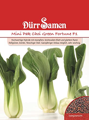 Pak Choi Samen Mini Pak Choisamen Senfkohl Green Fortune Ganzjährig ca 80 Korn Saatgut Gemüse Garten Hochbeet Dürr Samen