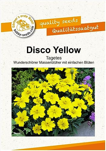Blumensamen DISCO Yellow, Tagetes Portion