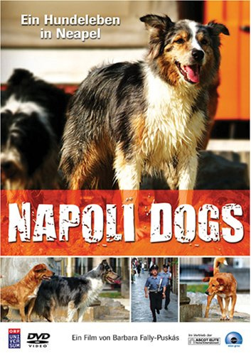 Napoli Dogs - Ein Hundeleben in Neapel