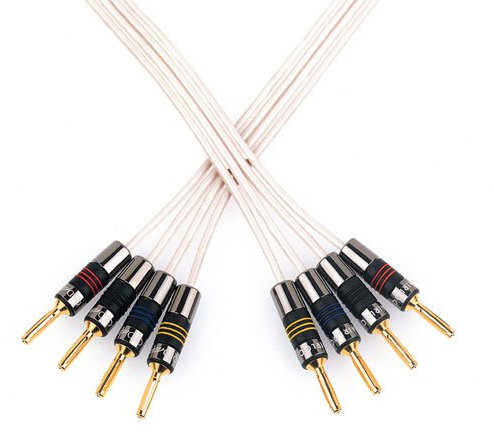 QED Original MK2 Biwire Speaker Cable, 1 Metre, Compatible with Amplifier, Receiver, Speaker