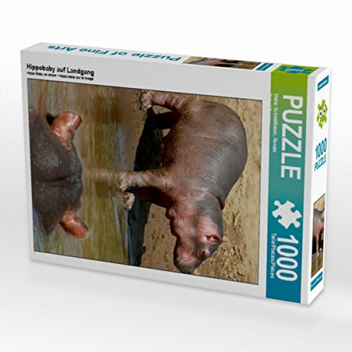 CALVENDO Puzzle Hippobaby auf Landgang 1000 Teile Lege-Größe 48 x 64 cm Foto-Puzzle Bild von Heinz Schmidbauer