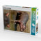 CALVENDO Puzzle Hippobaby auf Landgang 1000 Teile Lege-Größe 48 x 64 cm Foto-Puzzle Bild von Heinz Schmidbauer