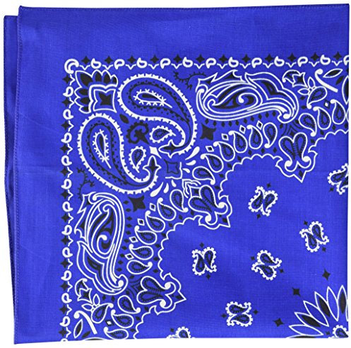 Carolina B22pai Bandana, 55,9 x 55,9 cm, Königsblau, Paisleymuster, Einheitsgröße, mehrfarbig