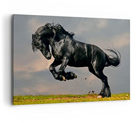 Wandbilder Dekoration Wohnzimmer Wolke Pferd Wiese Natur Bilder auf Leinwand 120x80cm Leinwandbild Schlafzimmer Küche Deko Wand Kunstdruck Art Groß XXL Wanddeko Bild Wall Decor Canvas AA120x80-2180