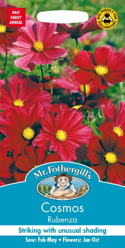 Mr Fothergill's COSMOS Rubenza Flower Seeds