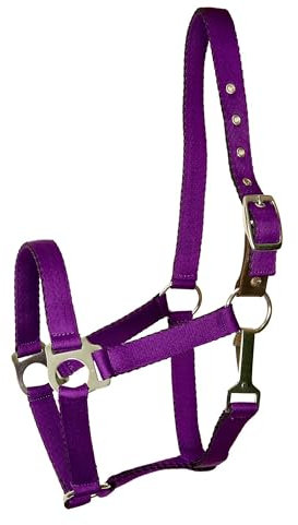 Gatsby Nylon Safety Breakaway Halter Pony Purple