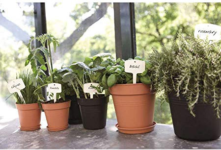 Elho Green Basics Soucoupe 25 - Soucoupe pour Intérieur, Extérieur, Culture & Récolte - Ø 25.5 x H 3.6 cm - Marron/Terre Cuite Doux