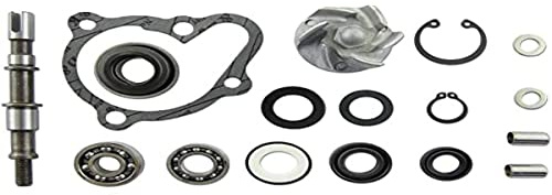 Reparación Bomba de Agua para Kymco 250 – 300 LC