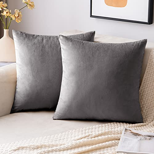 EMEMA Samt Kissenbezug Kissenhülle Dekorative Dekokissen Sofakissen Lendenkissen Wurfkissenbezug mit Verstecktem Reißverschluss Schlafzimmer Sofa 2er Set 45x45 cm Grau