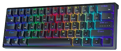 AULA F3261 Mechanische Tastatur Gaming,Gaming Tastatur 60 Prozent Tastatur Kabel Gaming Tastatur Klein,RGB PC Tastatur für Computer/Tablet/PS/Xbox,QWERTY,Roten Schaltern-Schwarz