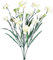 matches21 Schöne Nelke Kunstblume aus Kunststoff - künstliche Blume für Hochzeit Deko in Creme - Hübscher Kunstblumenstrauß wie echt 50 cm