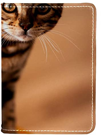 Étui de protection pour passeport en cuir synthétique avec motif chat sur canapé orange, multicolore, 10x14cm/4x5.5 in