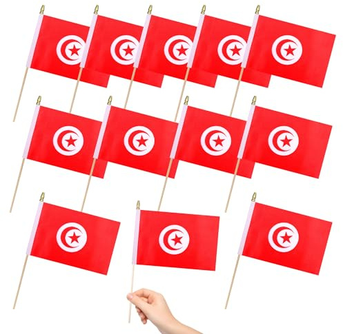 TMHTMH Drapeaux des pays asiatiques (Tunisie)