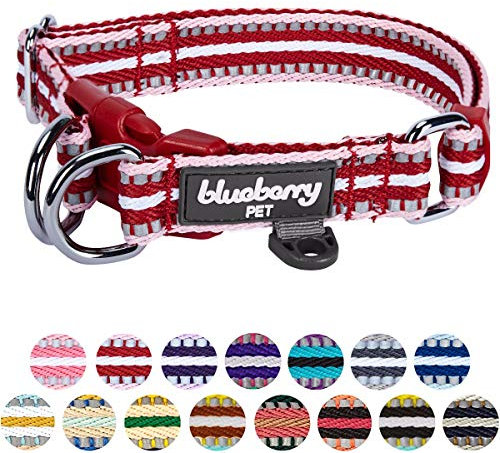Blueberry Pet Hundehalsband in normaler oder Martingale-Ausführung, mehrfarbig gestreift, 3M-Reflexfäden